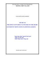 The effect of warm up activities on the grade 10 students’ motivation in listening lessons 
