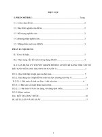 SKKN vận dụng lý thuyết graph để rèn luyện kỹ năng tóm tắt đề bài toán hóa học trong dạy và học hóa học chương nitơ lớp 11 THPT 