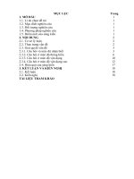 SKKN xây dựng hệ thống bài tập “đường tròn” theo định hướng phát triển năng lực học sinh lớp 10 THPT 