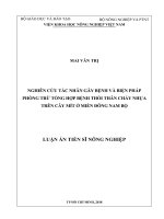 Nghiên cứu tác nhân gây bệnh và biện pháp phòng trừ tổng hợp bệnh thối thân chảy nhựa trên cây mít ở miền đông nam bộ