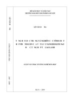 Tổng hợp, đặc trưng và nghiên cứu tính chất hấp phụ toluen của vật liệu nanozeolite 