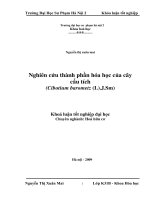 Nghiên cứu thành phần hoá học của cây cẩu tích ( Cibotium Barometz (L). J.SM)