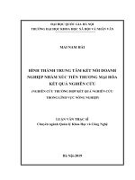 Hình thành trung tâm kết nối doanh nghiệp nhằm xúc tiến thương mại hóa kết quả nghiên cứu (nghiên cứu trường hợp kết quả nghiên cứu trong lĩnh vực nông nghiệp) 