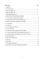 SKKN sử dụng kỹ thuật dạy học tích cực   kỹ thuật mảnh ghép vào giảng dạy một số bài lịch sử 10 ở trường THPT nga sơn 