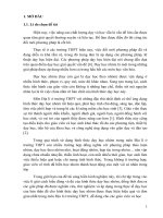 SKKN sử dụng hình thức dạy học nhóm trong môn địa lí ở trường THPT 