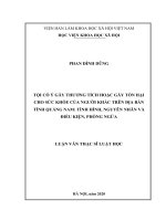 Luận văn tội cố ý gây thương tích hoặc gây tổn hại cho sức khỏe của người khác trên địa bàn tỉnh quảng nam tình hình, nguyên nhân và điều kiện, phòng ngừa