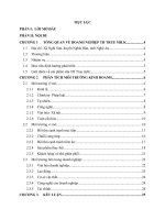 Phân tích các môi trường ảnh hưởng đến doanh nghiệp sữa TH true MILK  từ đó đưa ra ma trận SWOT  