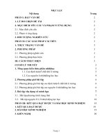 SKKN một số phương pháp giải quyết các bài toán nhiệt học trong chương trình bồi dưỡng HSG THPT 