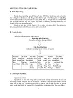 tiểu luận đầu tư quốc tế phân tích hoạt động đầu tư của honda vào việt nam 