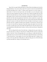 Tổng quan về môi trường quản trị, cơ cấu, phong cách lãnh đạo của tập đoàn unilever việt nam 