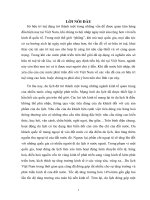 tiểu luận sở hữu trí tuệ vai trò của SHTT trong phát triển du lịch tại việt nam 