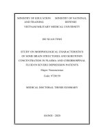 Nghiên cứu đặc điểm hình thái một số cấu trúc não và nồng độ serotonin huyết tương, dịch não tủy ở bệnh nhân trầm cảm mức độ nặng tt tiếng anh 