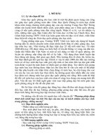 SKKN phương pháp dùng hình ảnh minh họa vào bài tác hại của ma túy và trách nhiệm của học sinh trong phòng, chống ma tuý 