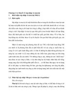 tiểu luận đầu tư quốc tế tập đoàn central group ở thái lan mua lại big c việt nam 