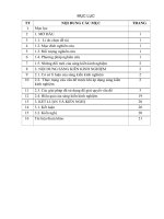 SKKN phân dạng và phương pháp giải các dạng toán cơ bản về liên kết gen 