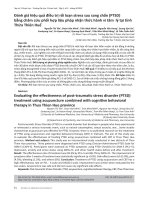 Đánh giá hiệu quả điều trị rối loạn stress sau sang chấn (PTSD) bằng châm cứu phối hợp liệu pháp nhận thức hành vi tâm lý tại tỉnh Thừa Thiên Huế