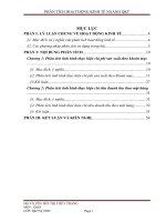 Bài tập lớn môn Phân tích hoạt động kinh tế: Phân tích chi phí sản xuất kinh doanh theo khoản mục và phân tích doanh thu theo mặt hàng của doanh nghiệp