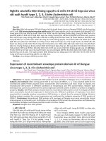 Nghiên cứu biểu hiện kháng nguyên vỏ miền III tái tổ hợp của virus sốt xuất huyết type 1, 2, 3, 4 trên Escherichia coli
