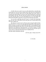 Khảo sát quy trình chế biến cá tra (pangasianodon hypophthalmus) fillet đông lạnh, tính định mức và hệ thống thiết bị tại công ty cổ phần xuất nhập khẩu thủy sản cần thơ caseamex