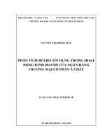 PHÂN TÍCH rủi RO tín DỤNG TRONG HOẠT ĐỘNG KINH DOANH của NGÂN HÀNG THƢƠNG mại cổ PHẦN á CHÂU 