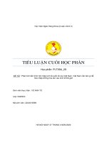 Tiểu luận kinh tế chính trị tiến trình hội nhập kinh tế quốc tế của Việt Nam