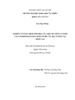 Khóa luận tốt nghiệp: Nghiên cứu đánh giá một số đặc điểm sinh học của vi khuẩn cố định đạm Rhizobium trên cây đậu tương tại Đồng Nai