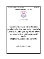 Luận án Tiến sĩ Y học: Nghiên cứu nguy cơ xuất hiện huyết khối tĩnh mạch sâu chi dưới lần đầu và kết quả dự phòng bằng Heparin trọng lượng phân tử thấp ở bệnh nhân hồi sức cấp cứu