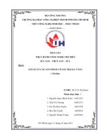 Báo cáo thực hành công nghệ chế biến súc sản, thủy sản, sữa: Sản xuất các sản phẩm có giá trị gia tăng (Giò thủ)