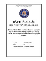 BÀI THẢO LUẬN TRẢ CÔNG LAO ĐỘNG (Hoàn thiện các hình thức trả lương tại một tổ chức doanh nghiệp)