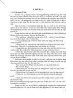 SKKN hiệu quả của việc sử dụng phiếu học tập sau mỗi tiết học vật lý 