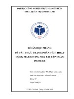 Đồ án học phần 2: Phân tích hoạt động Marketing Mix tại tập đoàn Pioneer