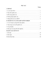 SKKN biện pháp dạy học cấu trúc rẽ nhánh trong chương trình tin học lớp 11 thông qua một số bài tập tiêu biểu 