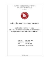 Báo cáo thực tập tốt nghiệp: Phân tích thương vụ M A giữa Masan Consumer và Vinacafe Biên Hòa. Bài học rút ra cho bên bán và bên mua