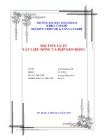 Tiểu luận: Vật liệu đồng và hợp kim đồng