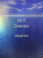 Bài giảng Tiếng Anh 10 - Unit 10: Conservation (Language focus)