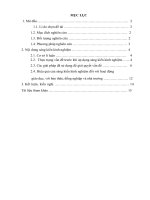 SKKN một số giải pháp nâng cao hiệu quả dạy   học làm văn nghị luận xã hội cho học sinh lớp 10 THPT 