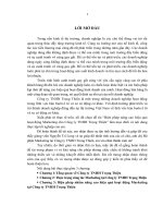 Thực tập tốt nghiệp: Biện pháp nâng cao hiệu quả hoạt động Marketing cho Công ty TNHH Trọng Thiện