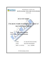 Ứng dụng vi khuẩn lên men lactic xử lý hạt giống đậu phộng 