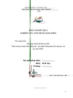Xây dựng chuyên đề dạy học phần “Sinh trưởng và phát triển ở động vật” theo định hướng phát triển năng lực của học sinh THPT.