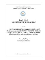 Thử nghiệm sử dụng phân trùn quế (Perionyx excavatus) làm môi trường cơ bản trong nuôi cấy In Vitro lan thạch hộc tía (Dendrobium officinale Kimura et Migo)