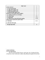 SKKN kinh nghiệm khai thác kênh hình trong dạy học lịch sử lớp 6   phần lịch sử thế giới cổ đại 