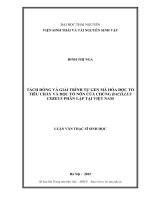 Tách Dòng Và Giải Trình Tự Gen Mã Hóa Độc Tố Tiêu Chảy Và Độc Tó Gây Nôn Của Chủng Bacillus Cereus