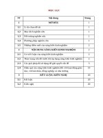 SKKN khai thác một số bài toán dãy số viết theo quy luật 