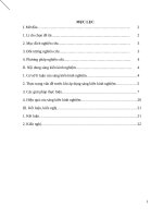 SKKN lắp đặt mạng điện trong nhà kiểu ngầm trong bộ môn công nghệ lớp 9 