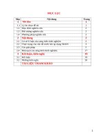 SKKN kinh nghiệm dạy văn bản nhật dụng lớp 8, tiết 45  ôn dịch thuốc lá 