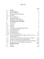 SKKN một số cách thức tổ chức hoạt động ngoại khóa, tham quan, dã ngoại giúp học sinh học tốt môn lịch sử  