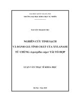 Nghiên Cứu Tinh Sạch Và Đánh Giá Tính Chất Của Xylanase Từ Chủng Aspergillus Niger Tái Tổ Hợp