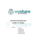 Chiến dịch marketing ví điện tử momo   kế HOẠCH MARKETING ví điện tử MOMO