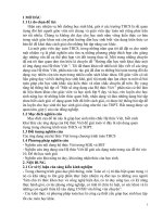 SKKN hướng dẫn học sinh lớp 9 khai thác một số ứng dụng của hệ thức viét 1 