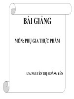 BÀI GIẢNG MÔN: PHỤ GIA THỰC PHẨM GV: NGUYỄN THỊ HOÀNG YẾN